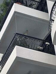 Tanglin Park (D10), Condominium #561305861